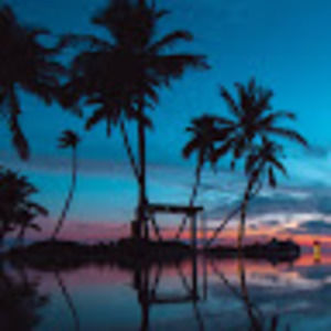 Meet your Posher, Joe